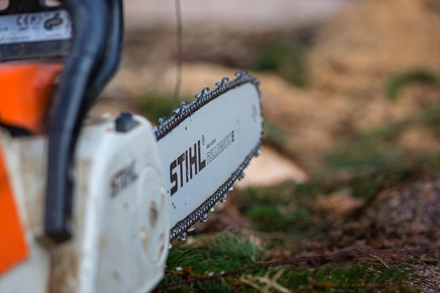 a tree surgeons stihl chainsaw on forest floor.